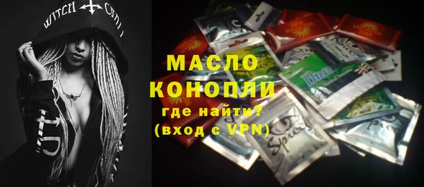 амф Бородино