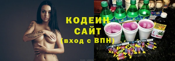 амф Бородино