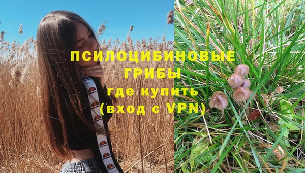 амф Бородино