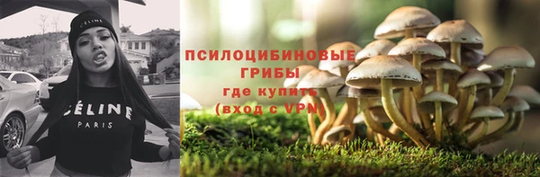 амф Бородино