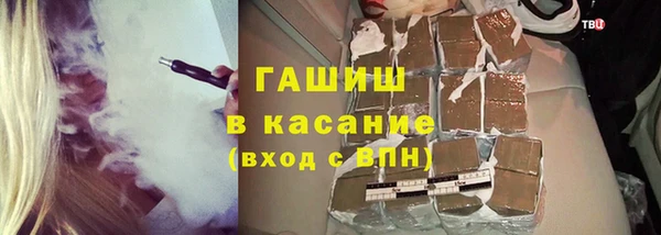 амф Бородино