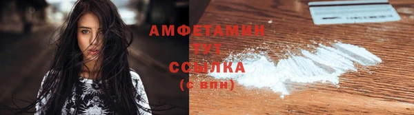 амф Бородино