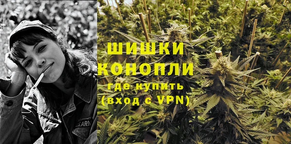 амф Бородино