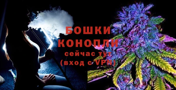 амф Бородино