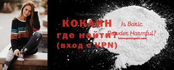 амф Бородино