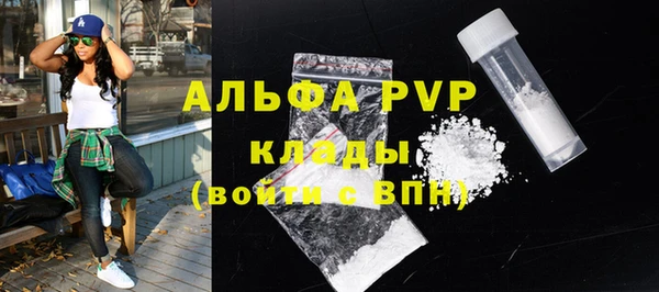 амф Бородино