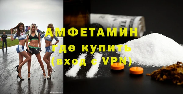 амф Бородино